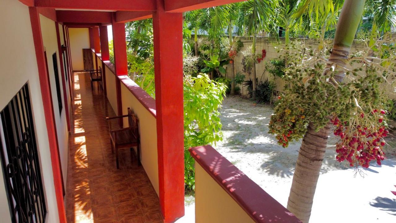 Nicte-Ha Hotell Xpujil Exteriör bild